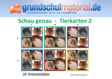 Tierkarten 2.pdf